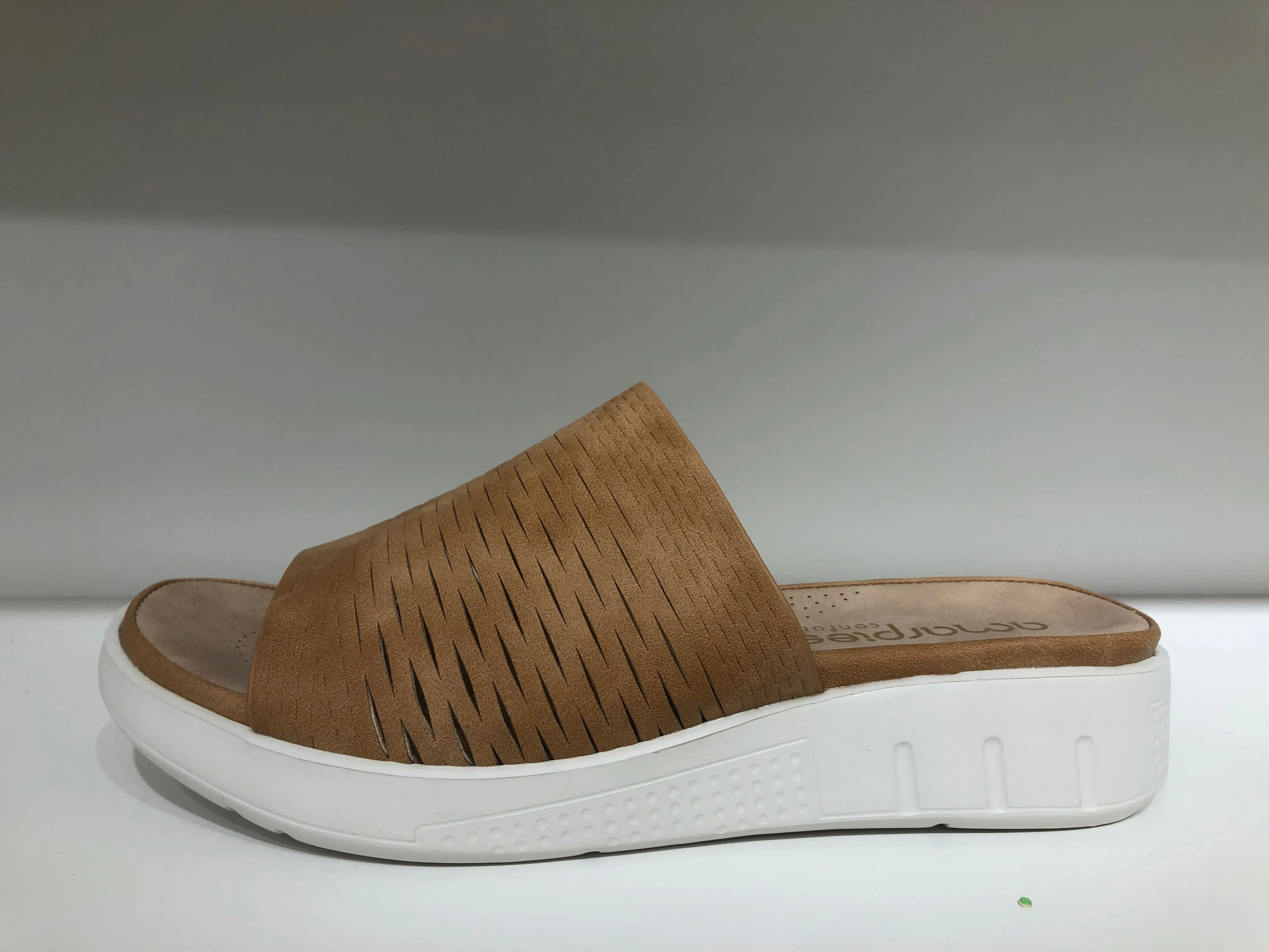 ABZ23613 BROWN