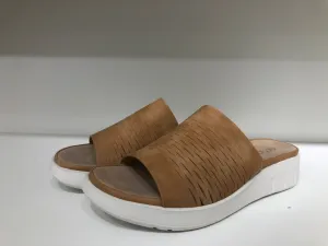 ABZ23613 BROWN