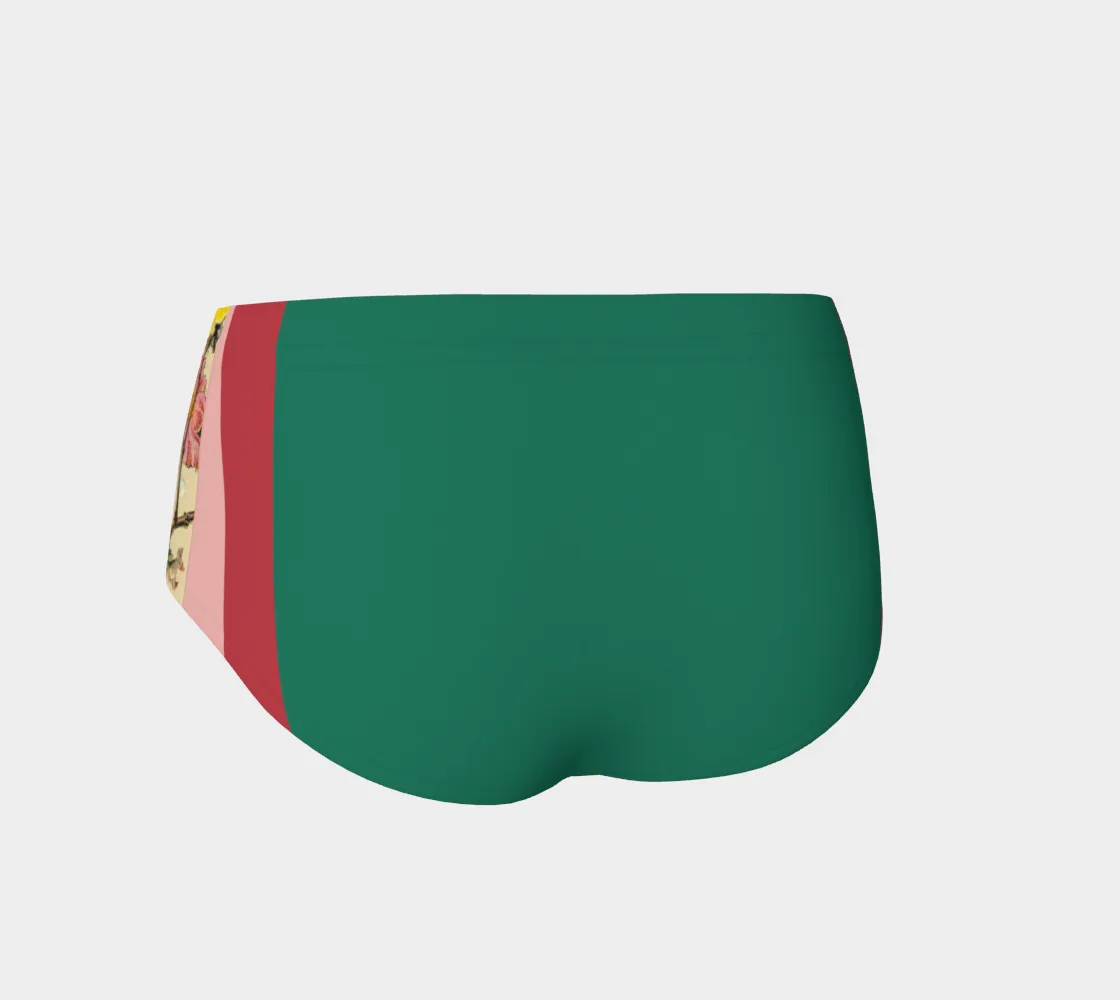 Birds of Mumford Swim Briefs