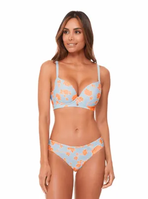 Brasier Prehormado 41000