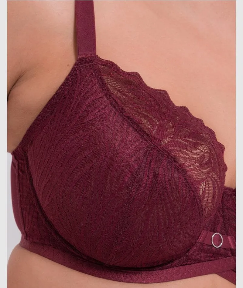 Curvy Kate Lace Daze Balcony Bra - Claret Red
