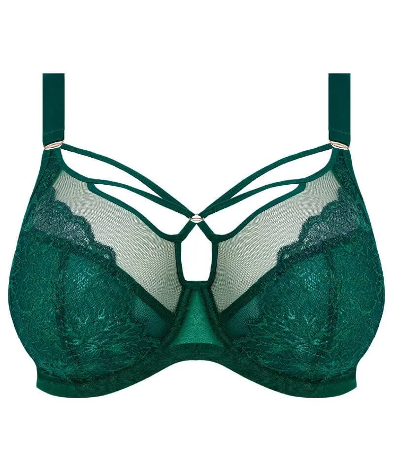 Elomi Brianna Underwire Plunge Bra - Rainforest