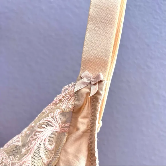 Lise Charmel Splendeur Soie Wired Nude/Dusky Pink Silk Full Cup Bra 34F (DDD)