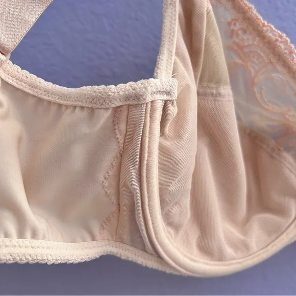 Lise Charmel Splendeur Soie Wired Nude/Dusky Pink Silk Full Cup Bra 34F (DDD)