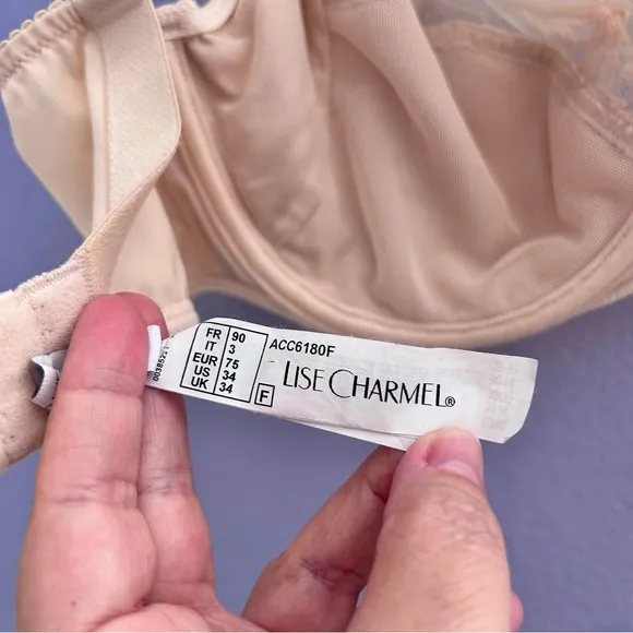 Lise Charmel Splendeur Soie Wired Nude/Dusky Pink Silk Full Cup Bra 34F (DDD)