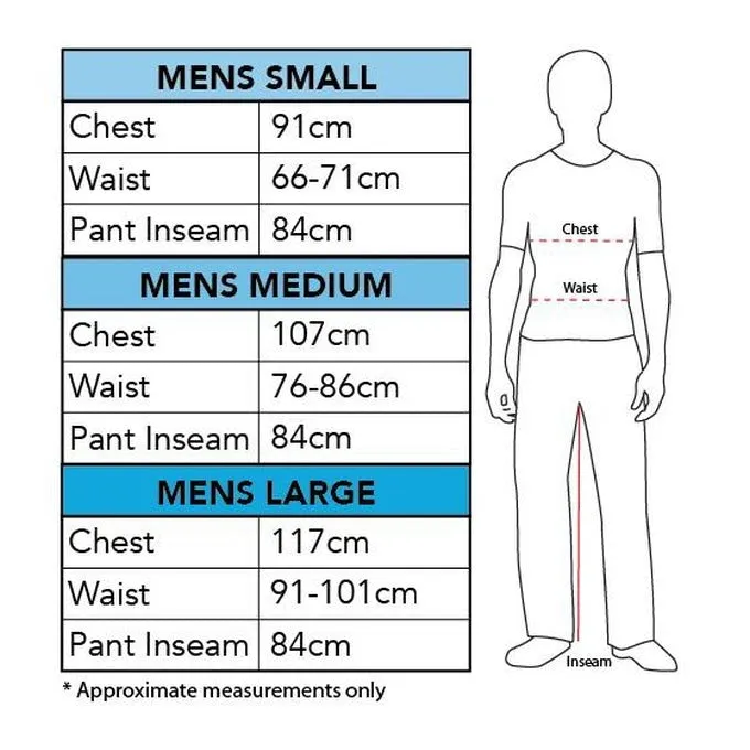 Robin Deluxe Muscle Chest Costume Size L