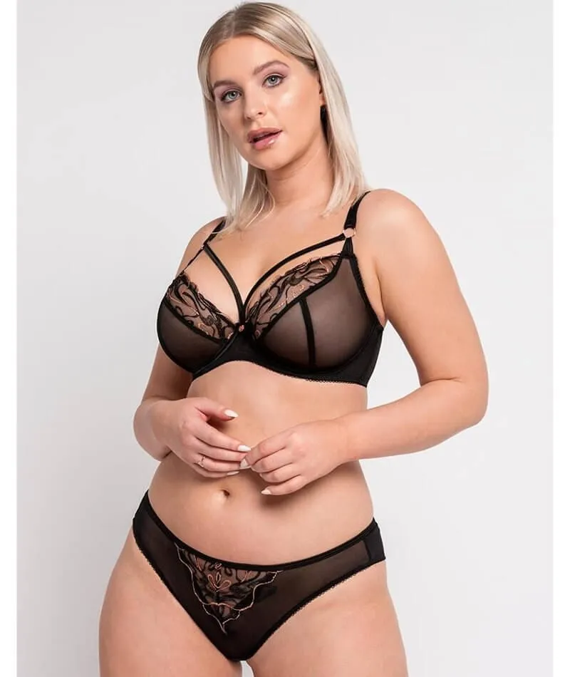 Scantilly Fascinate Plunge Bra - Black