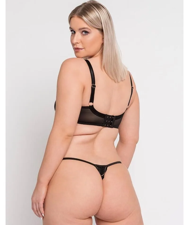 Scantilly Fascinate Plunge Bra - Black