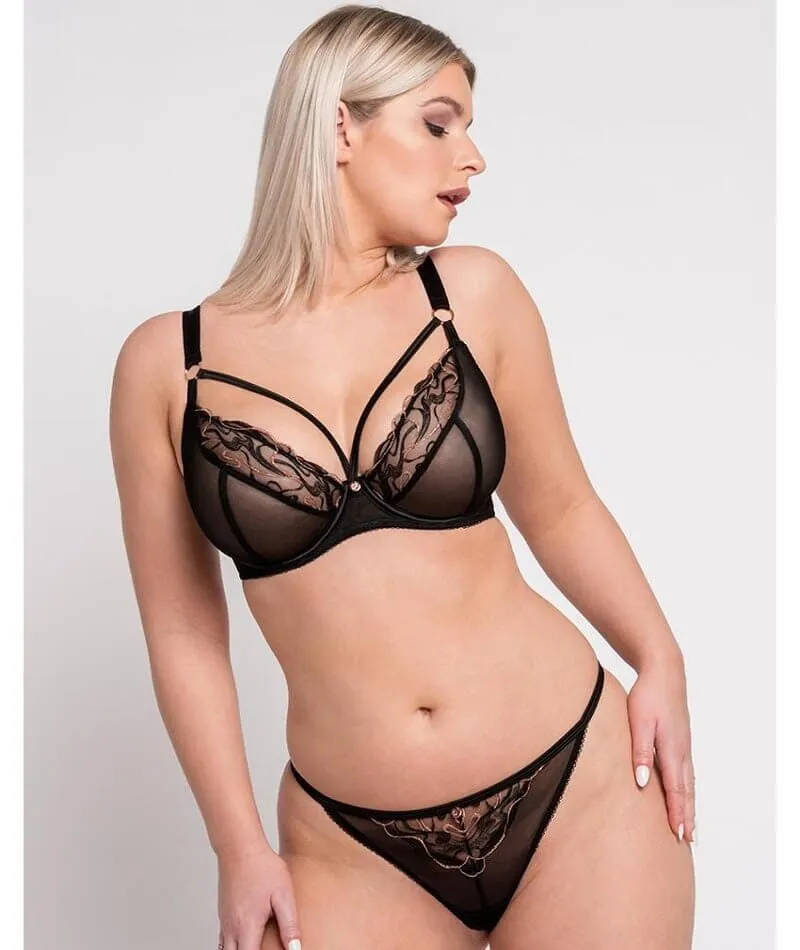 Scantilly Fascinate Plunge Bra - Black