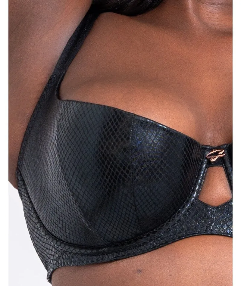 Scantilly Serpent Padded Half Cup Bra - Black
