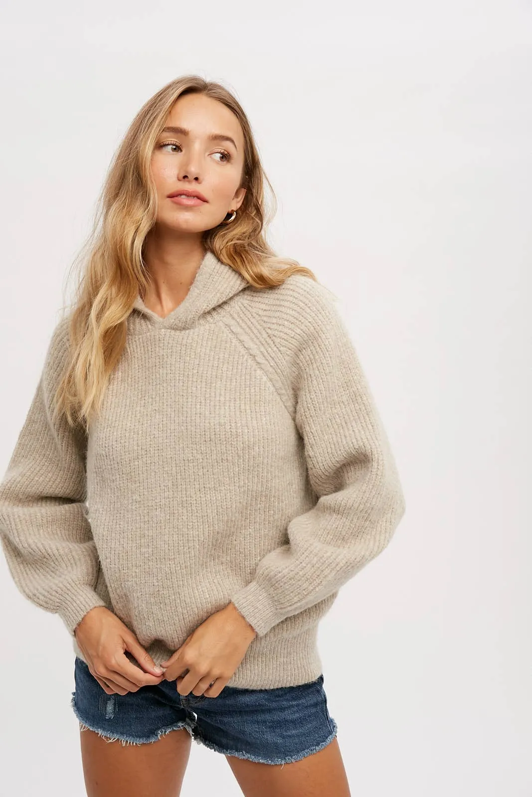 Stephanie- Sweater Hoodie